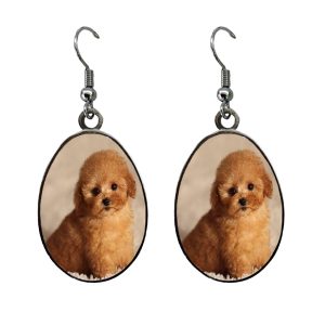 Metal Earring Oval Double Cover