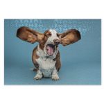 Puzzle A3 300 Piece Cover Image Custom Print On Demand Australia Puppy Yawning